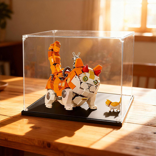 亚克力展示盒适用乐高野想积木中国机械猫x橘太子模型收纳盒