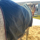 Однослойный жилет EPONA на весну и осень теплый и удобный для занятий конным спортом mini 4