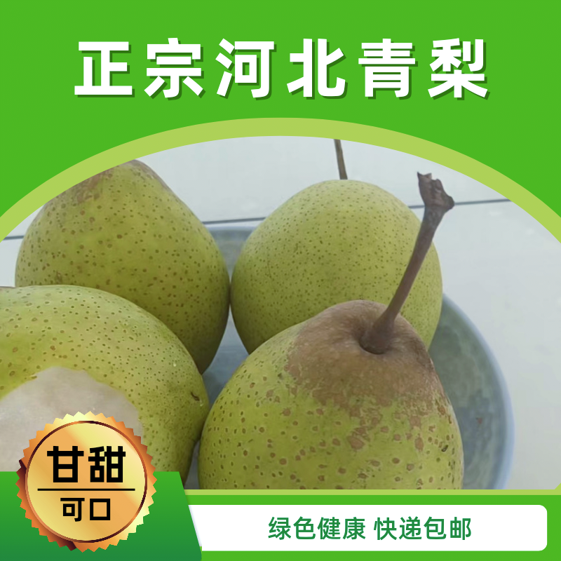 当季新鲜水果正宗河北大青梨快递包邮到家当天发货产地直销使用感如何?