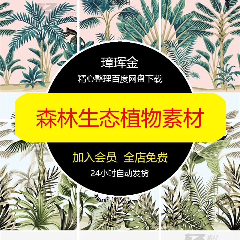 插画手绘矢量图芭蕉叶植物棕榈树热带丛林AI生态动物设计素材ue93