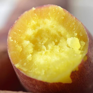 【出口日本】玛莎莉红薯地瓜东北沙地黄金蜜薯糖心黄心烤番薯康平