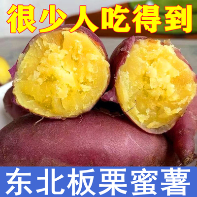 正宗板栗红薯新鲜海南澄迈桥头