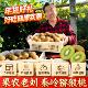 徐香猕猴桃陕西眉县产地直发整箱 包邮 礼盒