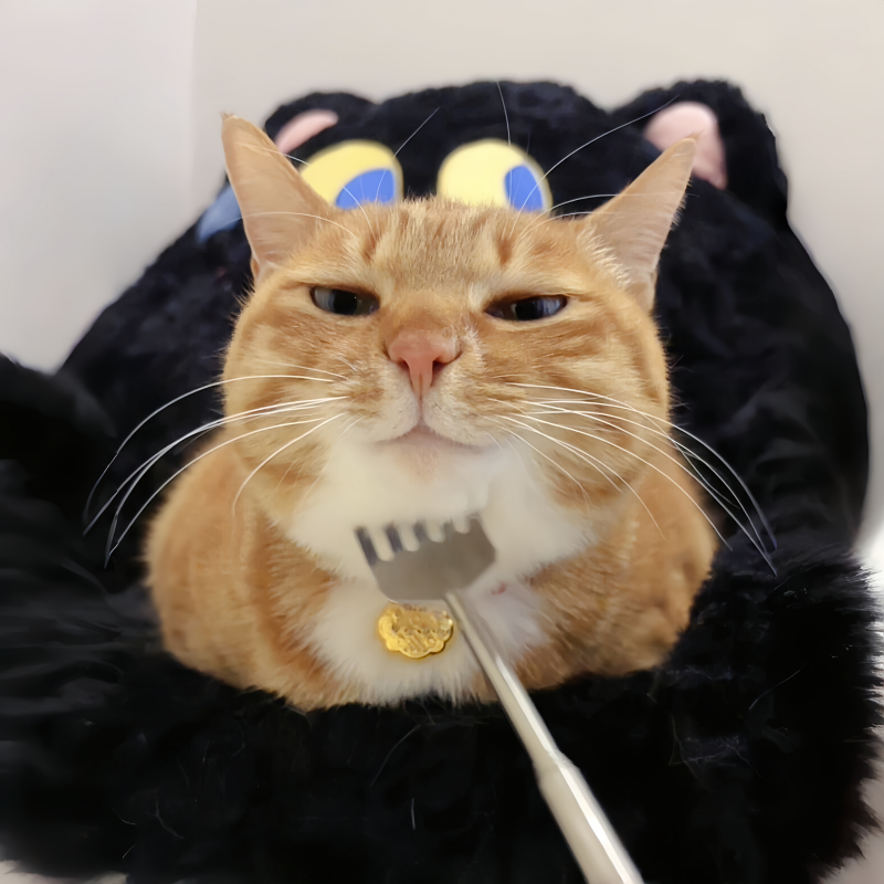 【秒变拖拉机！】逗猫棒猫咪痒痒挠解闷玩具宠物按摩互动撸猫神器