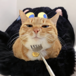 【秒变拖拉机！】逗猫棒猫咪痒痒挠解闷玩具宠物按摩互动撸猫神器