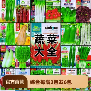 蔬菜种子四季 播家庭阳台盆栽庭院易种植番茄黄瓜辣椒西瓜籽孑大全