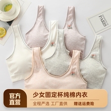 内衣女学生纯棉少女小背心高中生运动无钢圈文胸发育期女孩抹胸