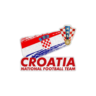 克罗地亚队莫德里奇足球迷反光电动摩托车汽车贴纸车门身后玻璃贴