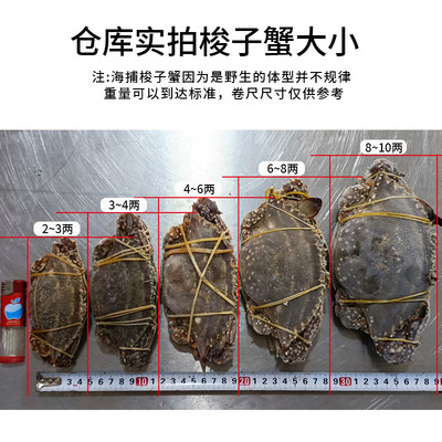 舟山红膏呛蟹整只梭子蟹