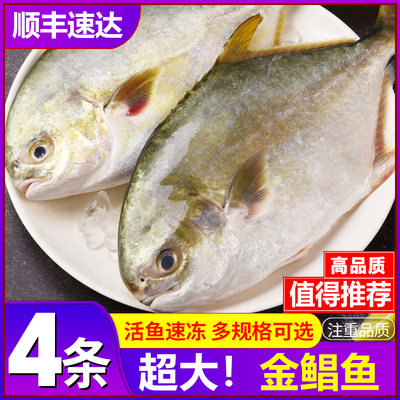 金鲳鱼新鲜冷冻特大鲳鳊