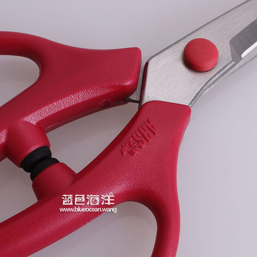 花艺剪不锈钢插花剪刀日本爱丽斯 ARS FL-18-BP 园艺工具手剪枝剪