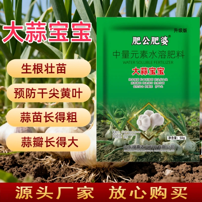 大蒜宝宝50g大蒜种植出苗专用生根壮苗预防干尖黄叶嗅补营养提质