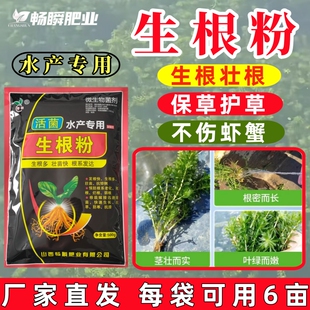 吲哚强力生根粉植物通用扦插快速生根移栽生根粉水培水产用营养粉