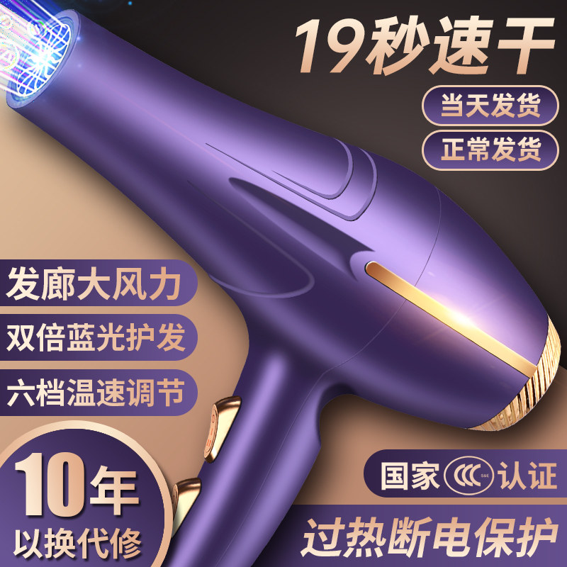 德系吹风机家用大功率理发店专用电吹风负离子护发静音速干正品