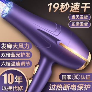 德系吹风机家用大功率理发店专用电吹风负离子护发静音速干正品