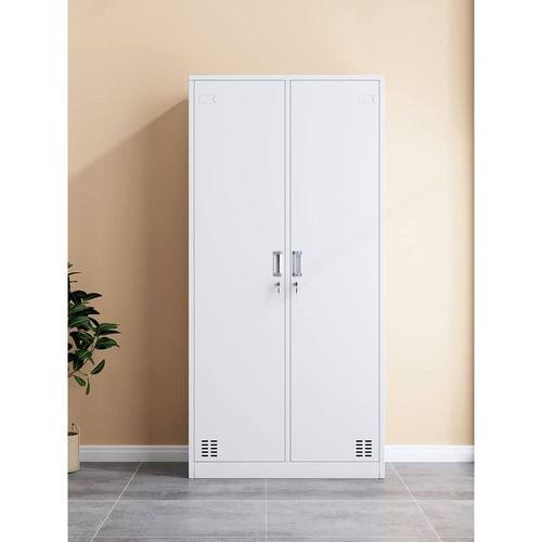 佛山二门更衣柜员工储物柜家用2门铁皮双门柜子带锁健身房换衣柜