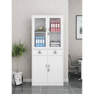 钢制办公室中二斗器文件柜铁皮柜定制书柜资料柜档案柜柜子储物柜