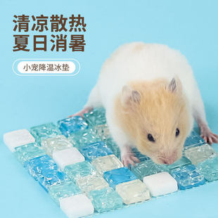 仓鼠冰垫夏天降温板散热用品宠物屋金丝熊龙猫凉席垫消暑神器冰窝