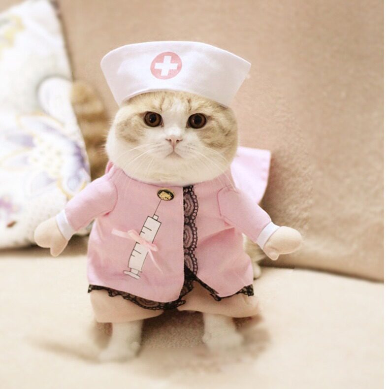 NASA猫咪狗狗搞笑宠物直立变狗宠物服装/雨衣