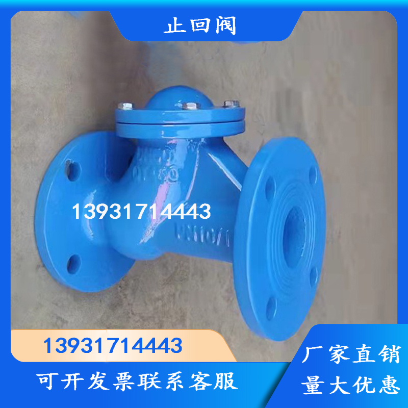 球型止回阀hq41x污水滑道丁晴