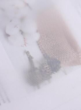 现货白色涤塔夫210/300T涤丝纺雨伞帐篷布 箱包羽绒服里布面爆款