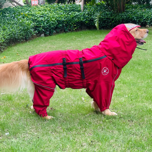 宠物雨衣中大型犬金毛萨摩服装