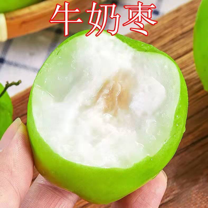 云南牛奶大青枣新鲜贵妃奶蜜枣新鲜现摘当季甜脆孕妇水果冬枣包邮