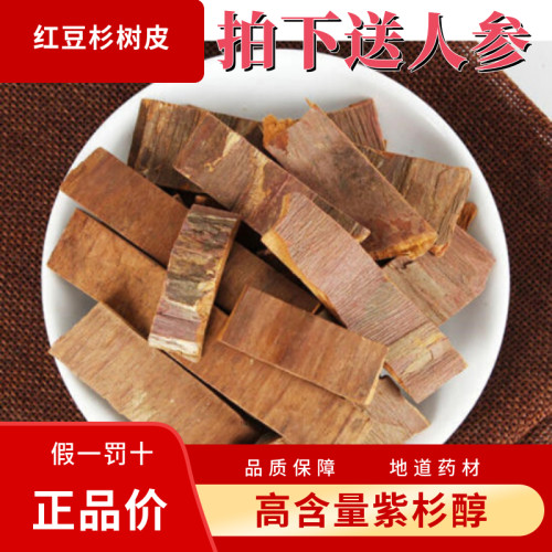 中药材红豆杉树皮百年 西藏红豆杉皮含紫彬醇 500g包邮中草药有叶