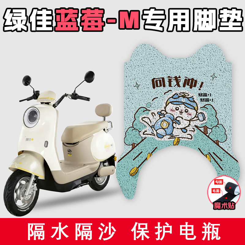适用于绿佳蓝莓-M电动车丝圈脚垫耐脏防水滑好打理防滑踩脚踏板垫