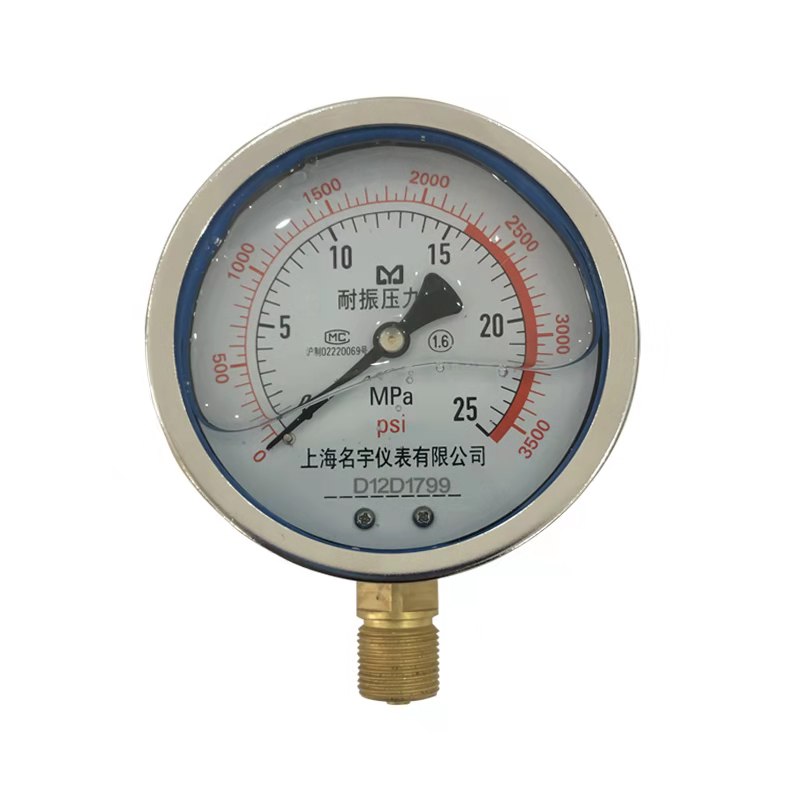 YN100耐震压力表0-0.6/1.6/2.5MPa水压油压液压表抗震径向安装