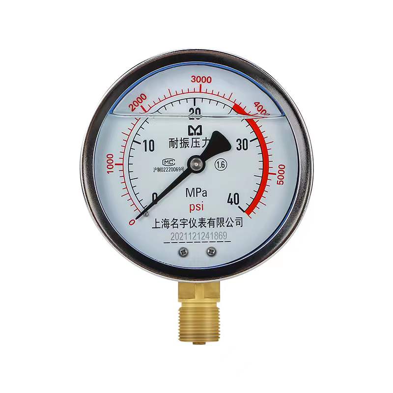 YN100耐震压力表0.6/1.6/2.5MPa水油压液压表抗震径向安装真空表