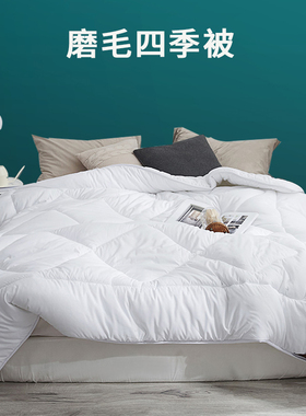秋冬保暖被芯春夏子母被双人床200X230宿舍单人白色加厚被150x200
