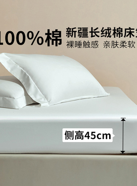 高支贡缎抗菌加高床笠纯棉单件白色床罩1米5X200cm厚床垫套保护罩