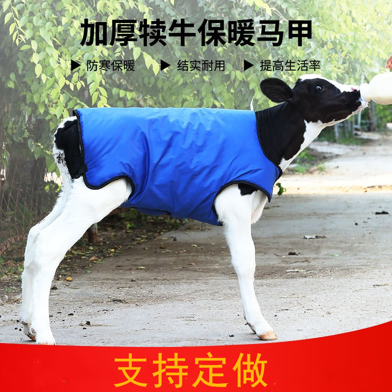 牛犊马甲小牛加厚防寒保暖马甲