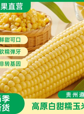 新鲜制作贵州糯玉米真空包装熟食甜糯黏玉米白包谷棒子黏糯香甜