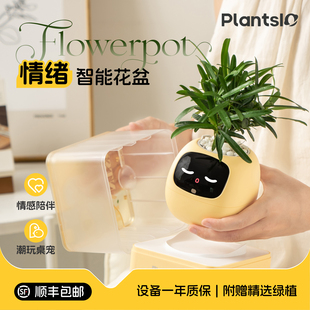 【植物萌宠机器人】IVY智能花盆AI绿植桌面摆件生日礼物送男女生
