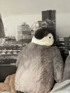【现货】英国jELLYCAT珀西企鹅可爱公仔男女孩超柔软安抚玩具玩偶