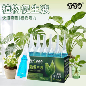 萌萌肉植物促生液通用液花卉绿植盆栽光杆发黄多肉专用营养液