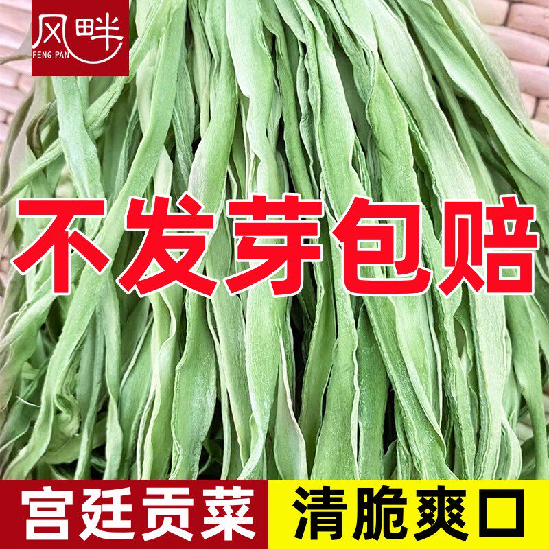 宫廷贡菜种子四季种籽耐高温抗寒苔干菜响菜山蛰菜菜种蔬菜种孑籽