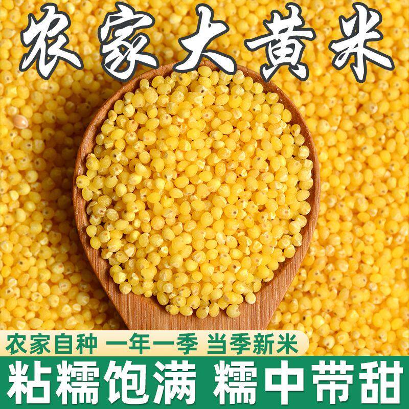 大黄米软米糜子新粽子米大黄米粘黄米黄粽子米糯小米1斤五谷杂粮
