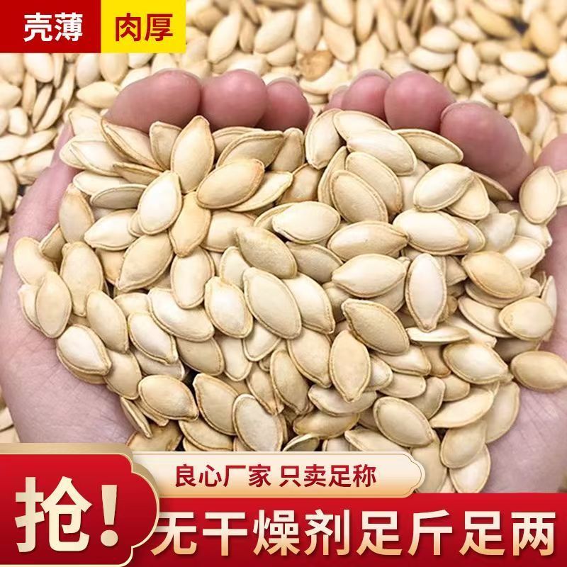 新货带壳生南瓜子1-5斤袋装新鲜纸皮原味生南瓜籽不漂白无添加剂