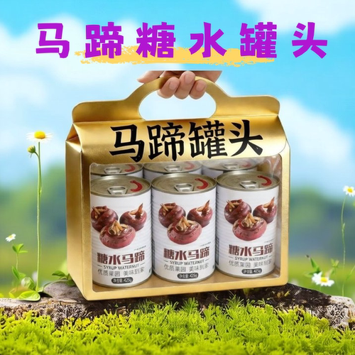 【超实惠】马蹄罐头大分量升级整箱批发即食新鲜当季荸荠水果罐头