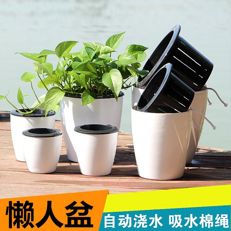 懒人花盆 自动吸水仿陶塑料盆 绿植水培大号树脂盆黑白彩色恐龙蛋