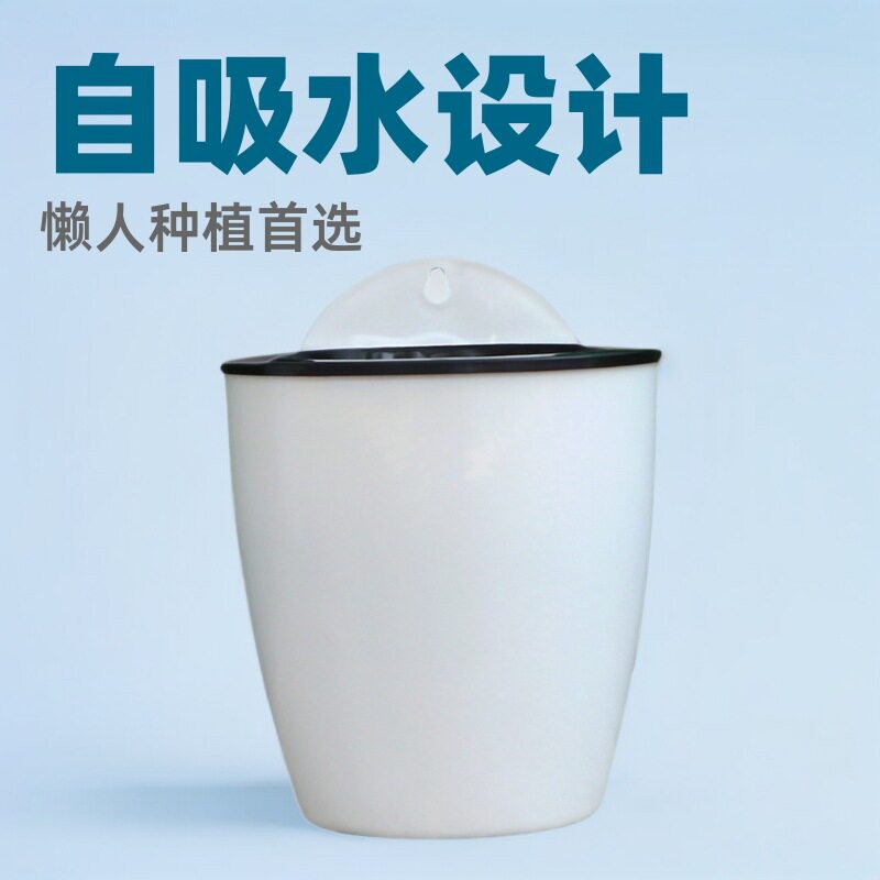 室内外挂壁式花盆懒人自吸水树脂塑料盆可水培绿萝植物墙