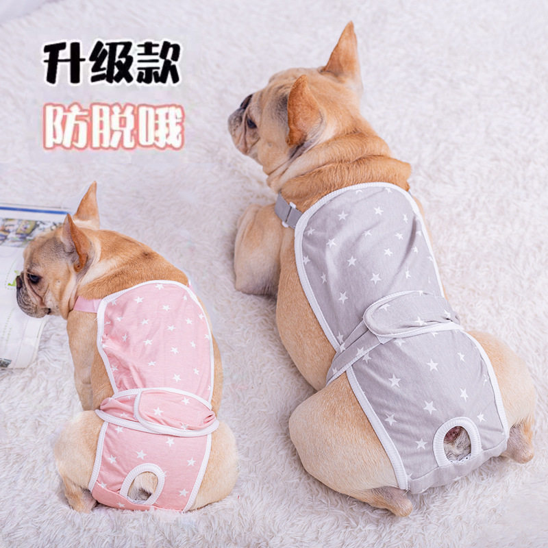 法斗母狗狗生理裤女泰迪柯基小狗巴哥犬月经期宠物安全裤大姨妈领