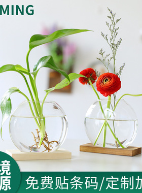 创意北欧风木艺水培绿萝摆件花瓶客厅家居装饰办公室桌面摆设定制