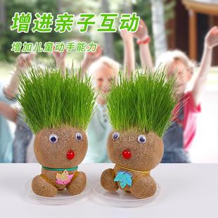 室内种植长草娃娃可爱草头娃娃小盆栽幼儿园手工桌面绿植盆栽摆件