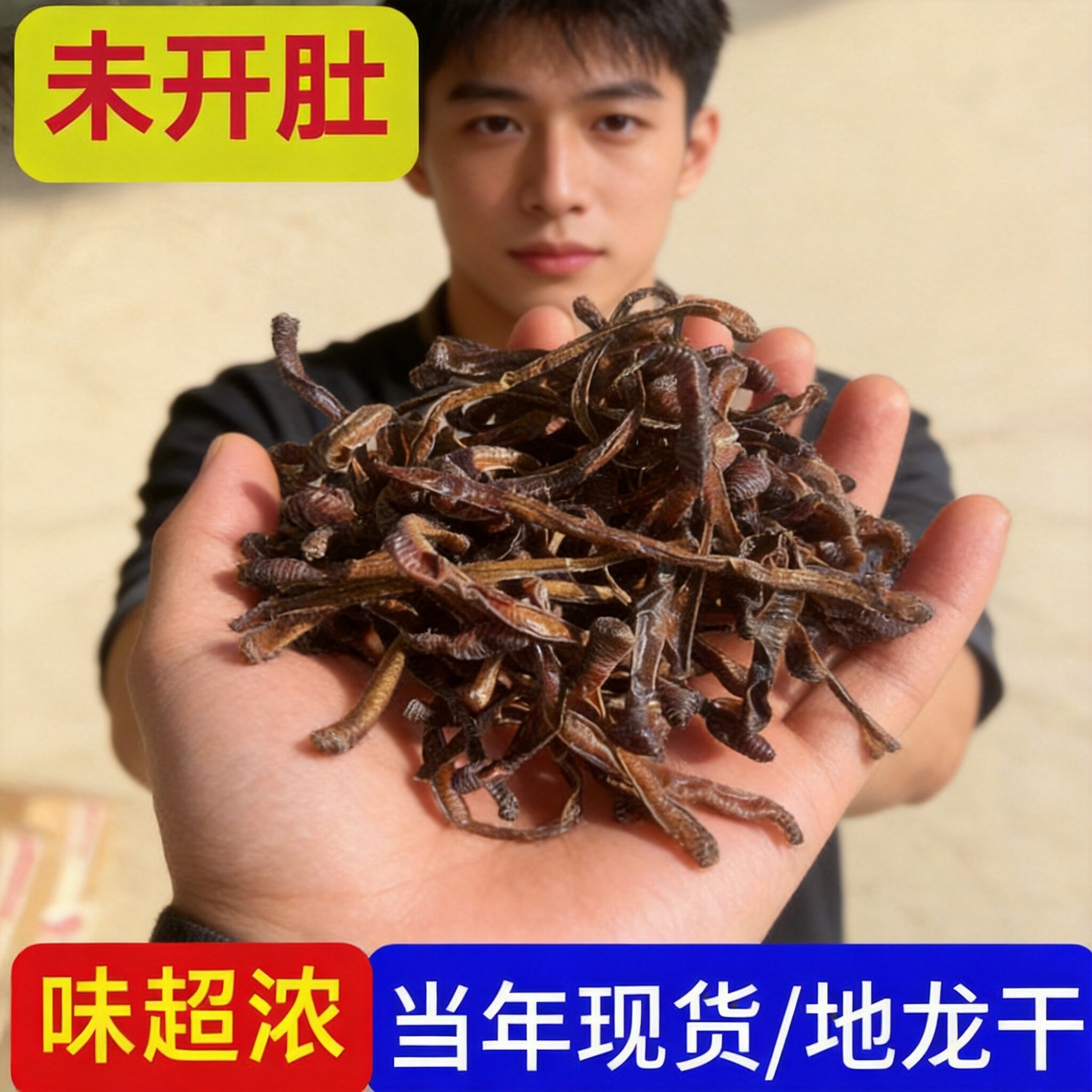 自然晾晒野生青蚯蚓圆条干地龙干未开肚蚯蚓干泥鳅饵黄鳝饵黑蚯蚓