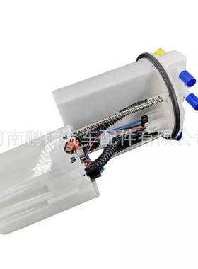 1123100AS08XA 1123100CKZ08A EM10258适用于长城燃油泵总成 泵芯