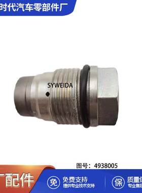 用于康明斯ISBe发动机配件燃油共轨限压阀4938005 1110010013